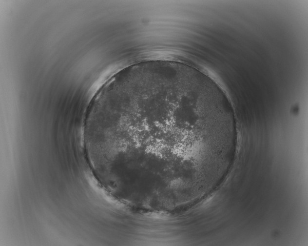 X0000112900994200908281720