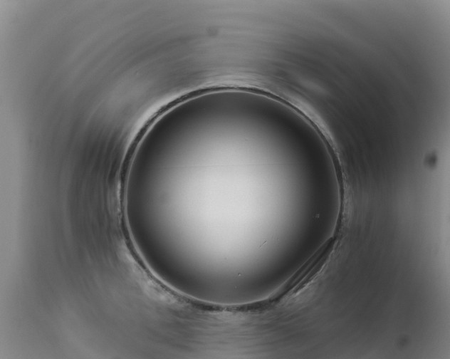 X0000112900996200908281720