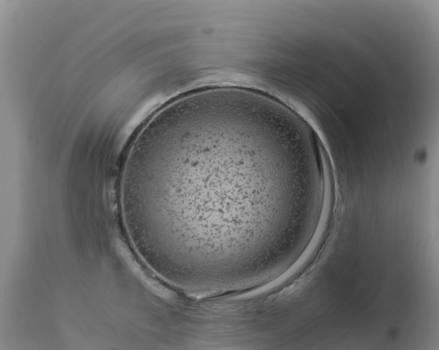 X0000112900997200908281720