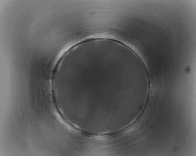 X0000112900998200908281720