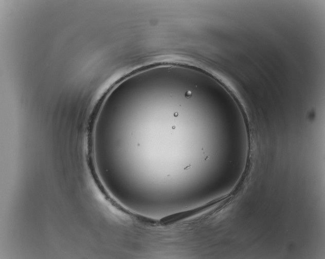 X0000112900999200908281720