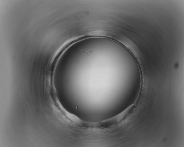 X0000112901000200908281720