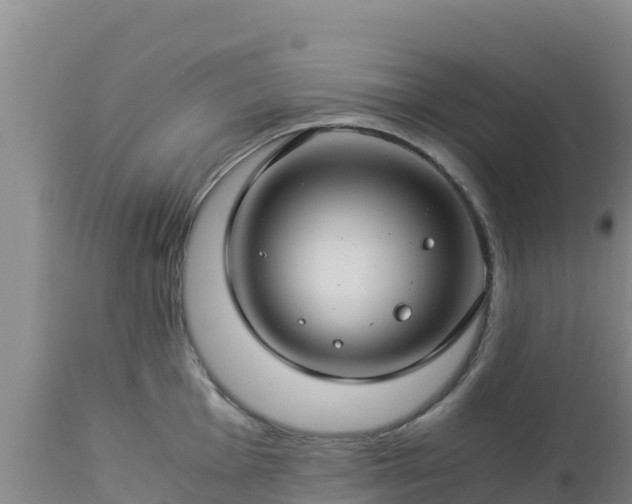 X0000112901001200908281720