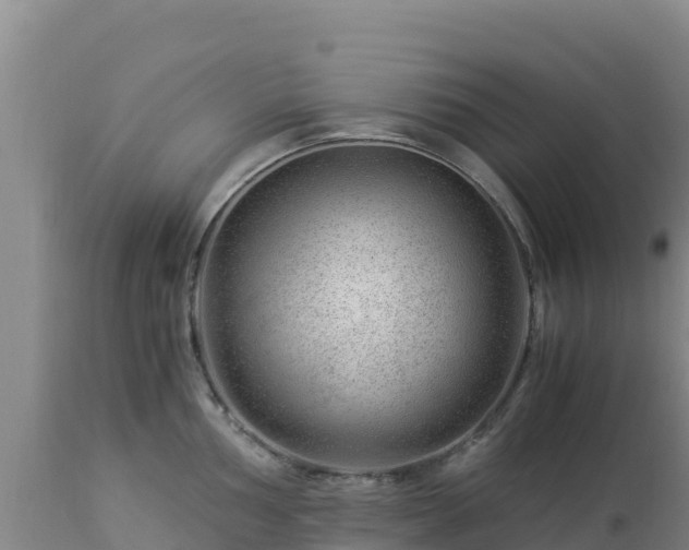 X0000112901002200908281720