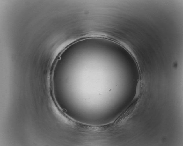 X0000112901003200908281720