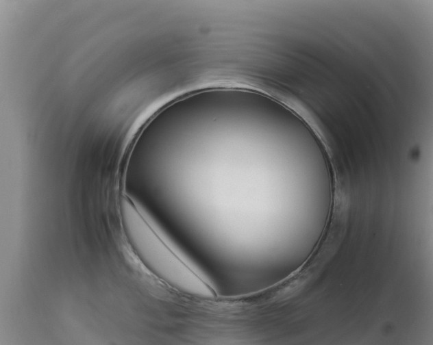 X0000112901004200908281720