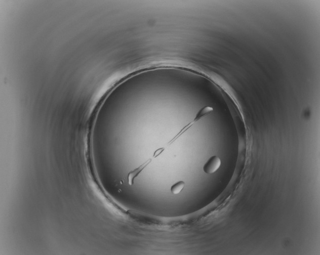 X0000112901005200908281720