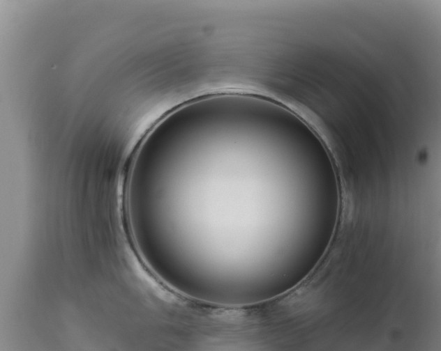 X0000112901006200908281720