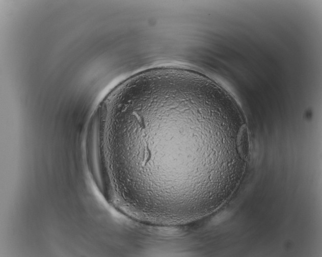 X0000112901007200908281720