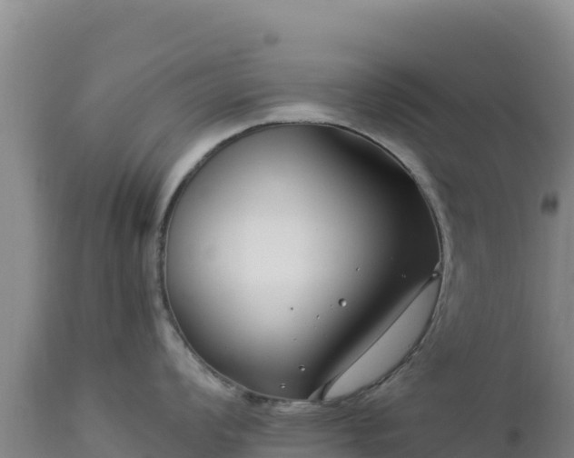 X0000112901008200908281720