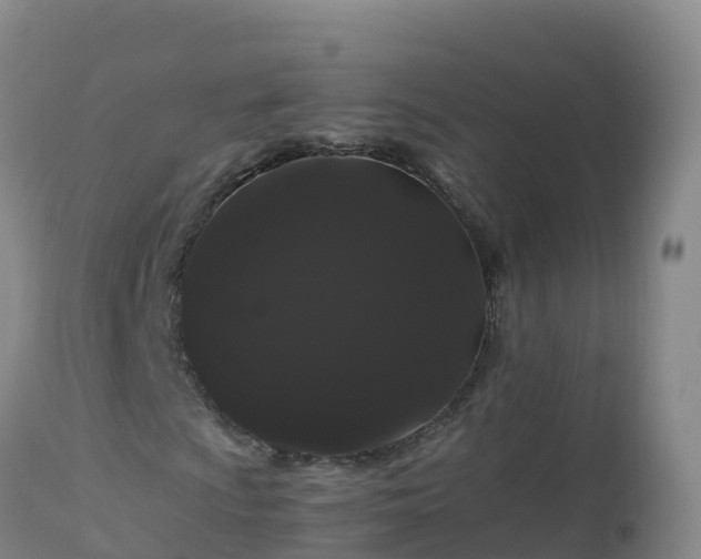 X0000112901009200908281719