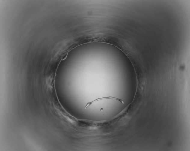 X0000112901010200908281719