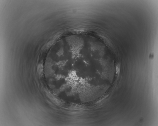 X0000112901011200908281719