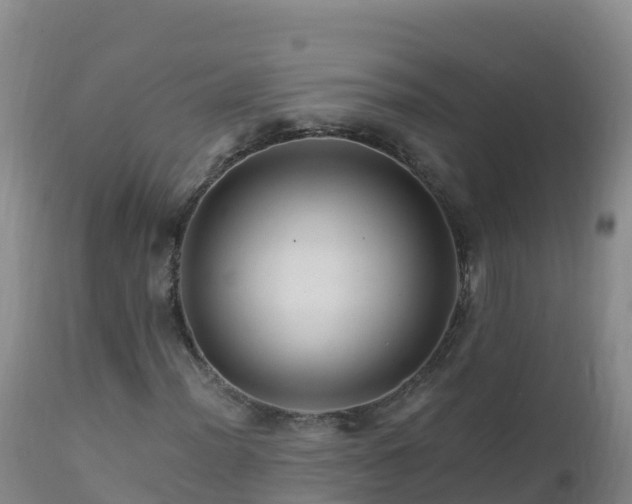 X0000112901012200908281720