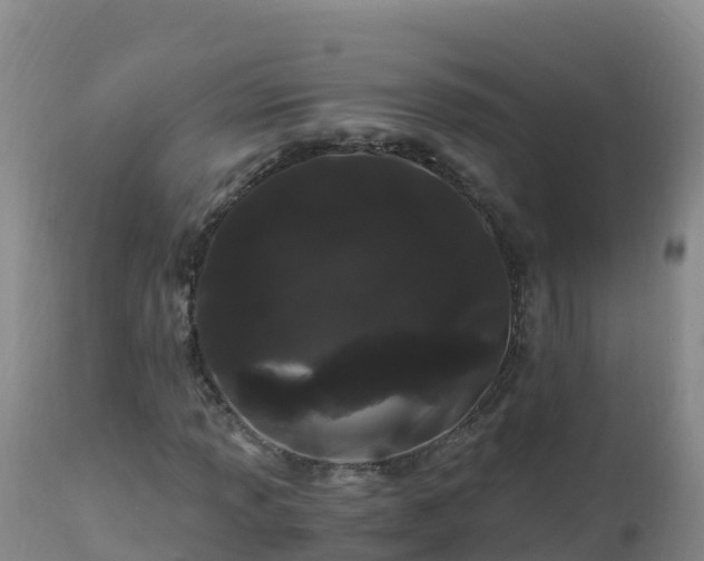 X0000112901013200908281720