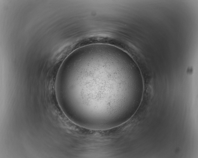 X0000112901014200908281720