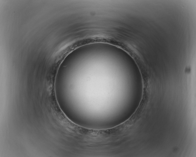 X0000112901015200908281720