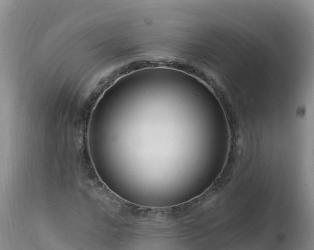 X0000112901016200908281720