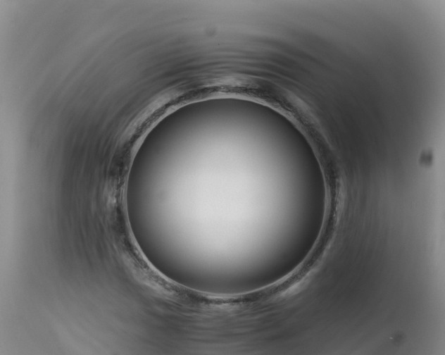 X0000112901017200908281720