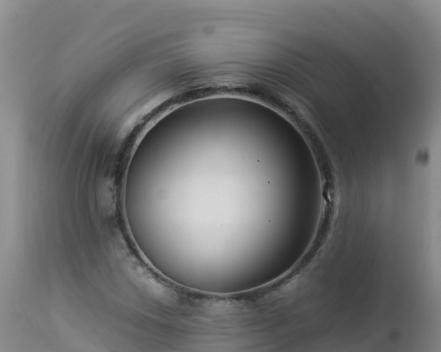 X0000112901018200908281720