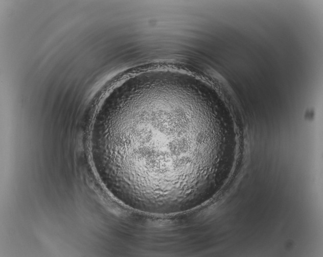 X0000112901019200908281720