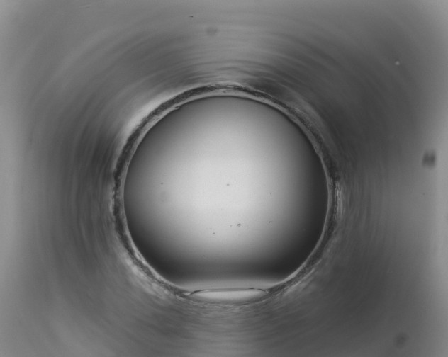 X0000112901020200908281720