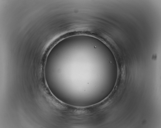 X0000112901021200908281720