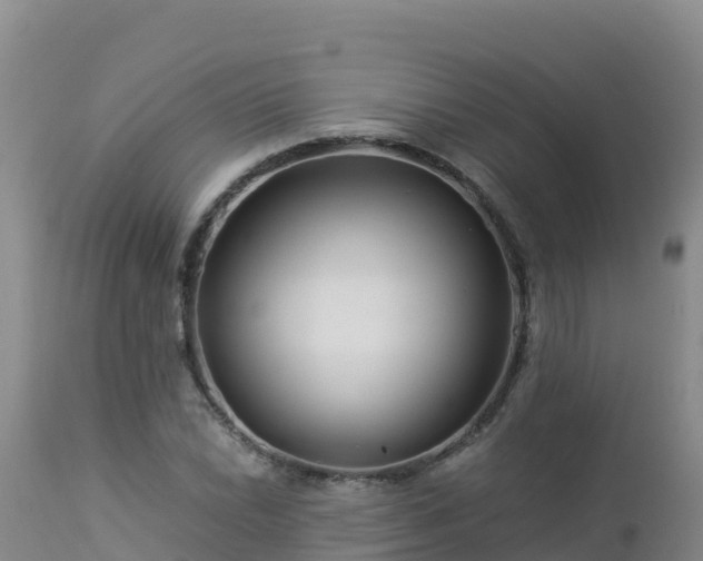 X0000112901022200908281720