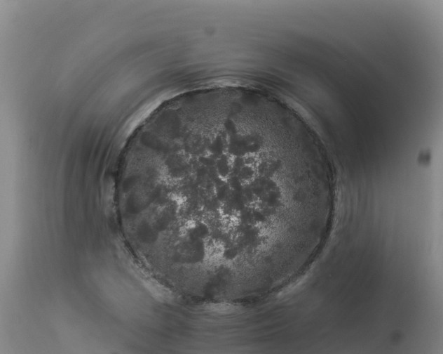 X0000112901023200908281720