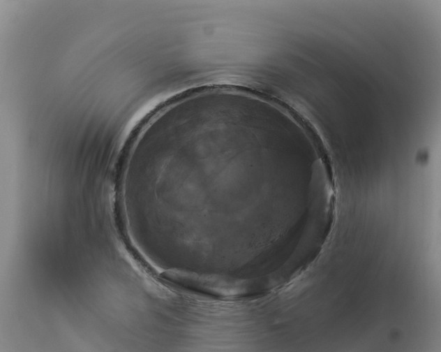 X0000112901024200908281720