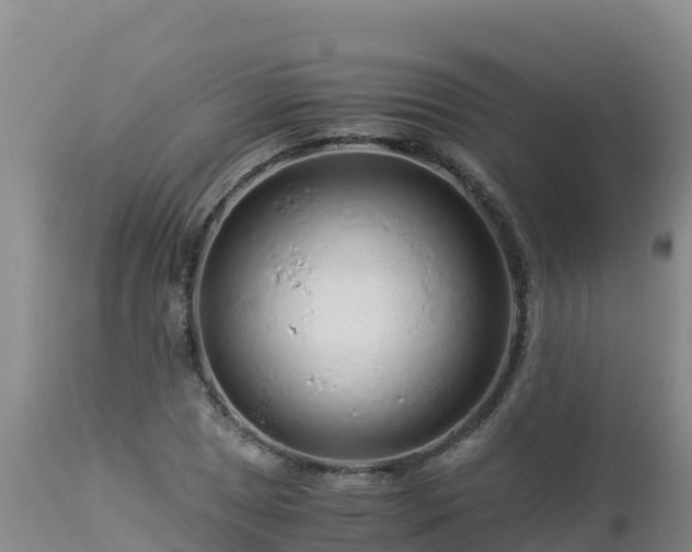 X0000112901025200908281720