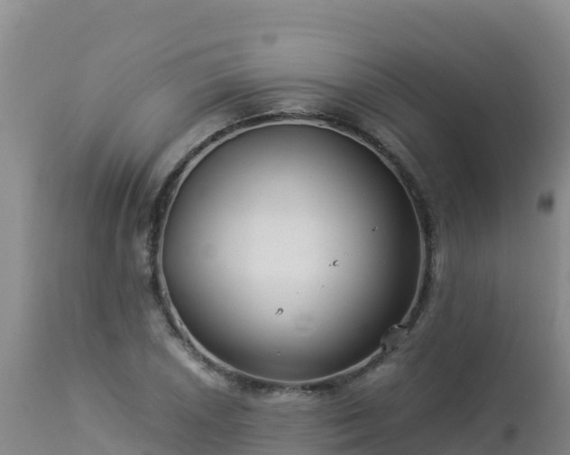 X0000112901026200908281720