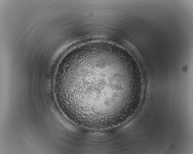 X0000112901027200908281720