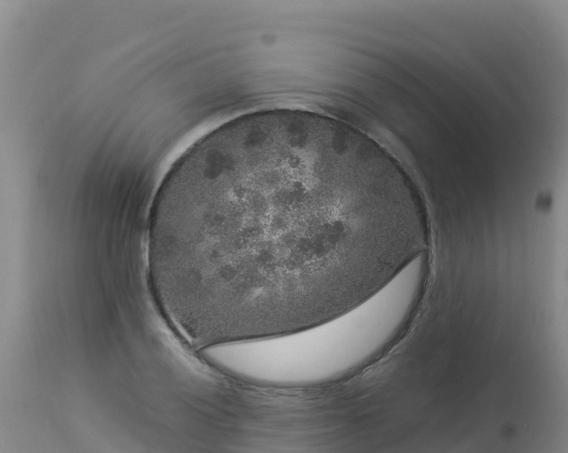 X0000112901028200908281720