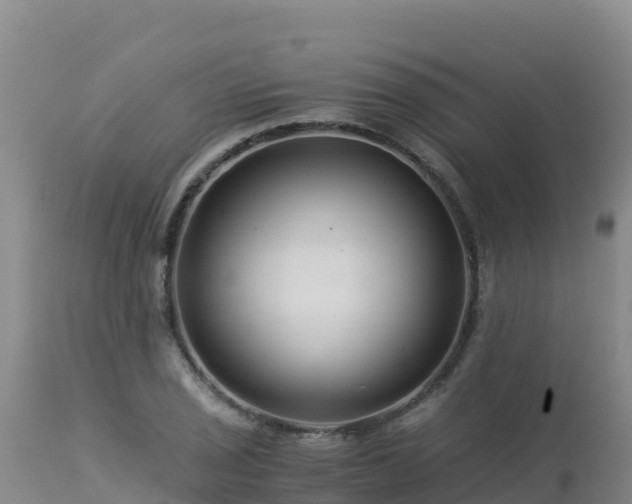 X0000112901029200908281720