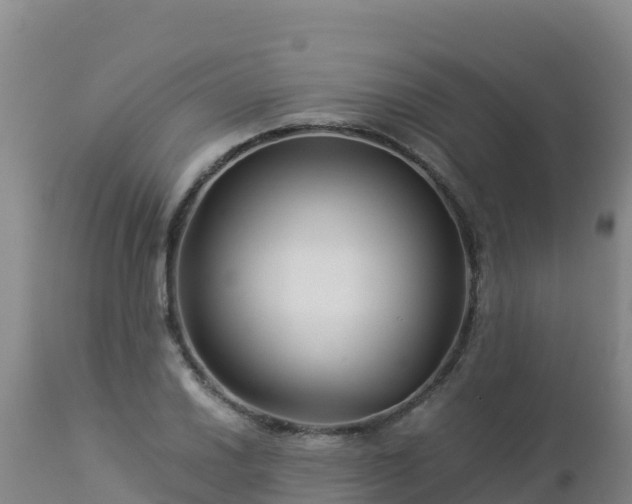 X0000112901030200908281720