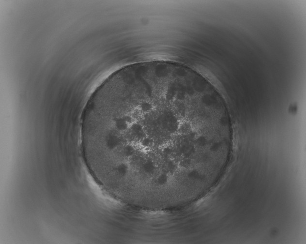 X0000112901031200908281720