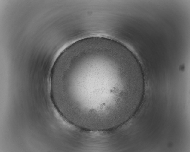 X0000112901032200908281720