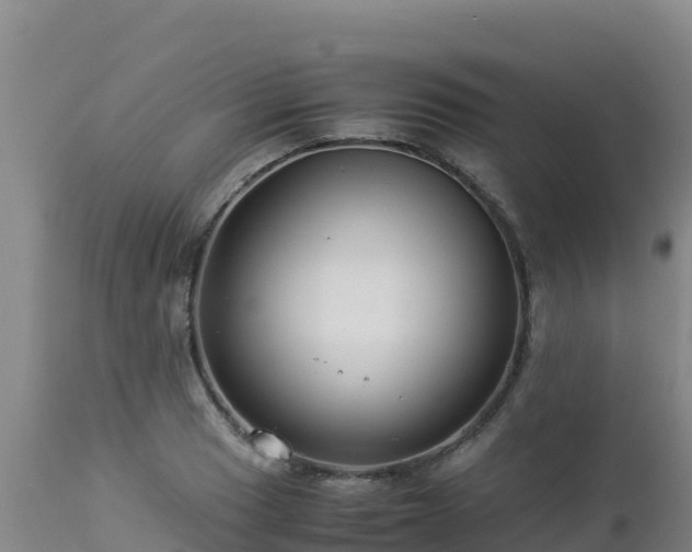 X0000112901033200908281720