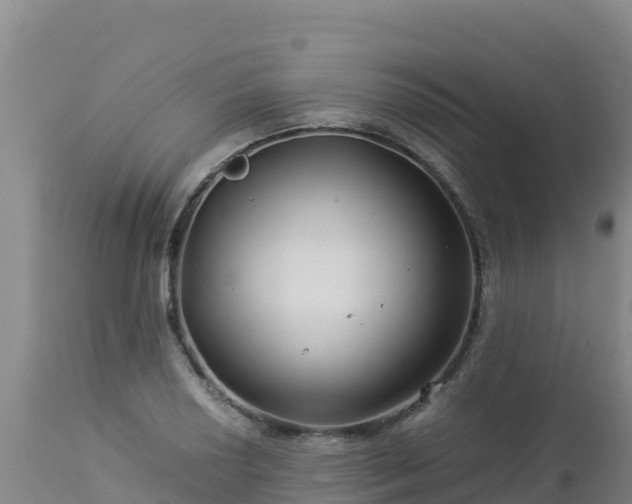 X0000112901034200908281720