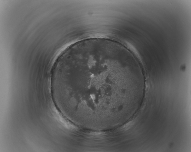 X0000112901035200908281720