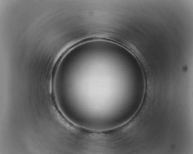 X0000112901036200908281720