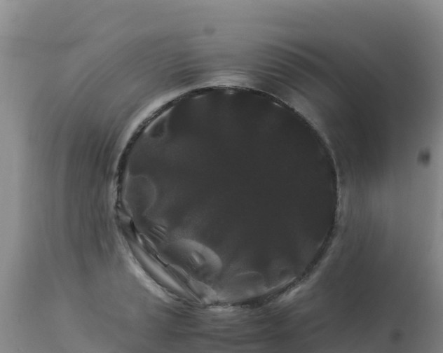 X0000112901037200908281720