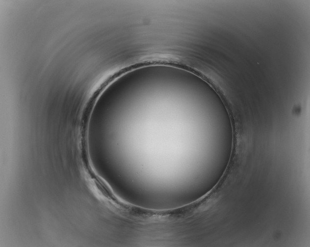 X0000112901038200908281720