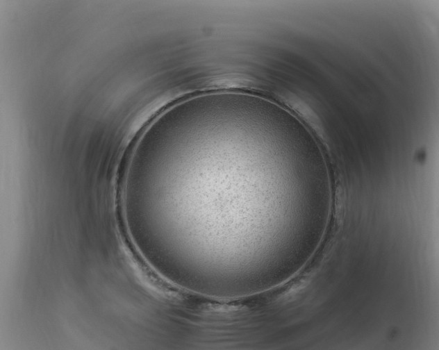 X0000112901039200908281720