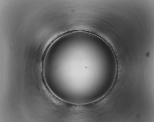 X0000112901040200908281720