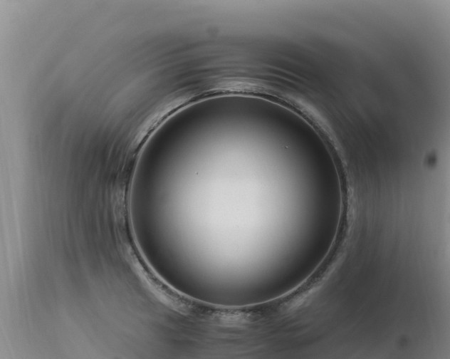 X0000112901041200908281720