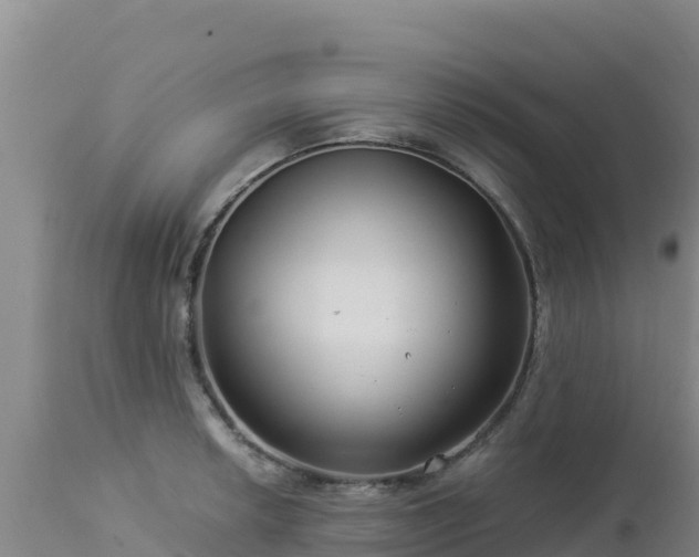 X0000112901042200908281720