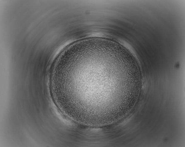 X0000112901043200908281720