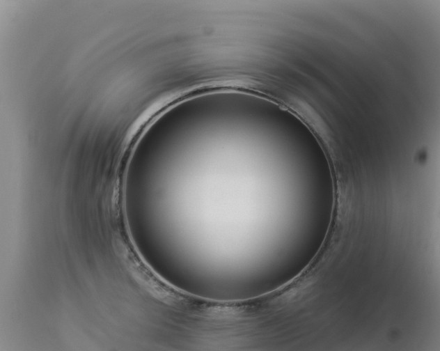 X0000112901044200908281720